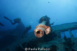 anti-aircraft gun of the wreck of SS Thistlegorm by Paola Pallocci 